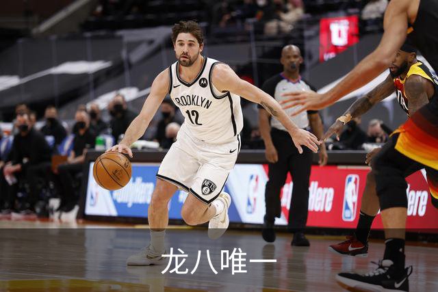 龙八唯一公司简介
